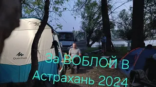 Дикарями В Астрахань на рыбалку за воблой. 2024