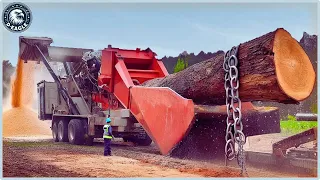 55 Amazing Dangerous Monster Wood Chipper Machines in Working