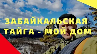 Прогулка по Забайкальской тайге