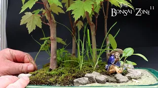 Moving and Pruning Trees, The Bonsai Zone, May 2024