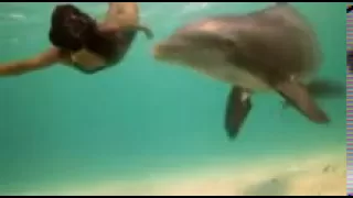 Девочка и дельфин Girl and a Dolphin. (видеоклип)