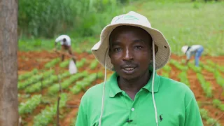 Enhancing the Soybean value chain in Kenya