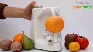 Automatic Orange Peeler That Peel Orange in Minute