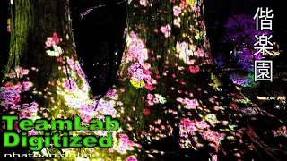 TeamLab Digitizeb Kairakuen Graden P.1 #4k#kairakuen#teamlabdigitized| Explore Japan