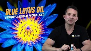 Unlocking the Secrets of Blue Lotus Oil: From Ancient Traditions to Modern Wellness