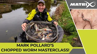 CHOPPED WORM FISHING With Mark Pollard