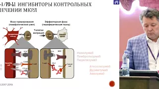 Ингибиторы контрольных точек иммунитета в лечении солидных опухолей. Мелкоклеточный рак легкого