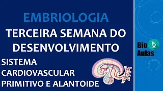 Sistema Cardiovascular Primitivo e Alantoide - Terceira Semana do Desenvolvimento (Embriologia)