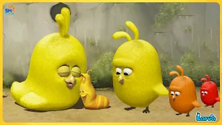 LARVA CARTOONS: ĐÀN GÀ CON LÔNG VÀNG - PHIM HOẠT HÌNH ẤU TRÙNG TINH NGHỊCH HAY NHẤT 2025