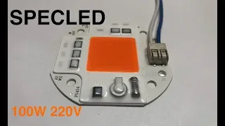 Led 100W 220V (110V) from China. AliExpress. Led for plants. Growing