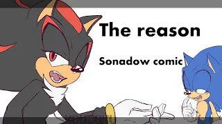 "THE REASON" Sonadow comics