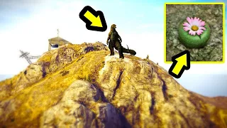 فاكهة الوحش هذا هو أعظم سر في جي تي أي 5 | GTA V Peyote Plant Secret