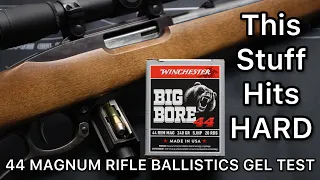 BEAR LOAD?! 44 Magnum 240gr Winchester Big Bore Ballistics Gel Ammo Test