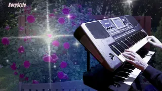 KorgStyle -Где ты была? (Korg Pa 900)  DemoVersion