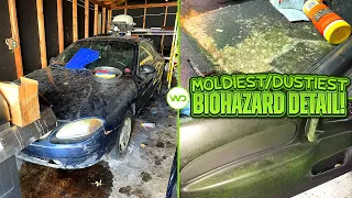 Deep Cleaning the MOLDIEST/DUSTIEST Ford EVER! | Satisfying DISASTER Car Detailing Transformation