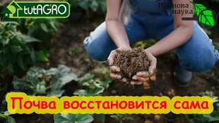 ВОССТАНОВЛЕНИЕ ПОЧВЫ ЗА 1 СЕЗОН. Плодородие восстановится само по этой схеме.