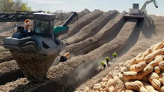 You won't believe how millions of peanuts make peanut butter!