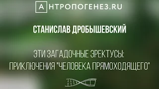 Эти загадочные эректусы: приключения "человека прямоходящего". Станислав Дробышевский