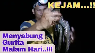 Menangkap Gurita di Laut Malam Hari//Cara Memancing Gurita Dengan TEKNIK MENYABUNG...‼️