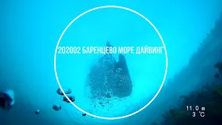 202002 Barents sea diving