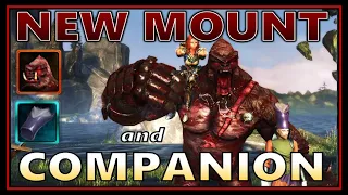 *FREE VIP PACK* All 4-Slot Mounts Documented! NEW Comp & Mount Tested (D&D in Session) - Neverwinter
