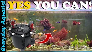 CAN you Run a Saltwater Tank WITHOUT a SUMP and WITH a CANISTER FILTER?