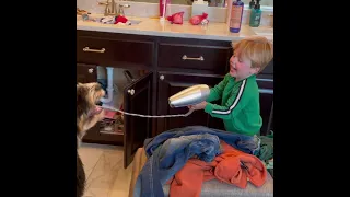 Henry & Quirt Play With Mom's Hairdryer