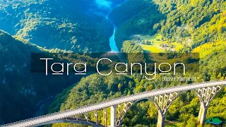 Tara Canyon ~ Discover Montenegro in colour ™ | CINEMATIC video