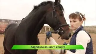 Наездница чемпионка. ИК "Город" 26.09.2014