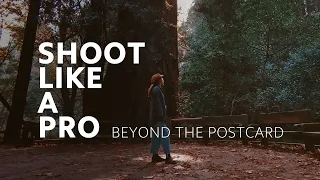 #ShootLikeAPro | #BeyondThePostcard: Exploring the Redwoods