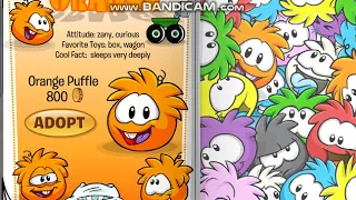 HOW TO ADOPT A PUFFLE IN CLUB PENGUIN