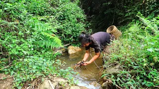 Lots of Snails in the Stream and Wild Fruits: Survival Alone In The Rainforest | EP.95