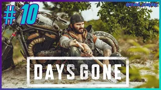 Days Gone - Прохождение Hard - Стрим №10