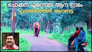 കാട് കയറുന്ന നാട് | Chokana Thrissur, The Elephant Village  & House of Kalabhavan Mani | ചൊക്കന