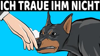 Wie Hunde Böse Menschen Erkennen (Und Andere Coole Fähigkeiten)