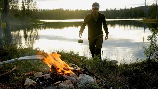 Reivo - Solo in the Great Wild Woods