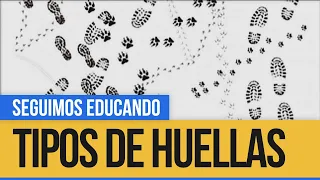 Ciencias Naturales: Tipos de huellas - Seguimos Educando