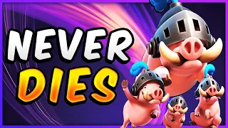 NERF-PROOF! NEW POWERFUL ROYAL HOGS DECK to UPGRADE — Clash Royale