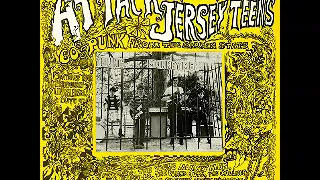 Various ‎– Attack Of The Jersey Teens : 60's Garage Rock Beat Psychedelic Music ALBUM Compilation LP