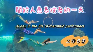 【珊珊來遲】關於美人魚表演者的日常！ 快速帶你看一遍 #mermaid #美人魚 #工作