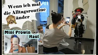 Die neue Farbe😍/Das Gerüst kommt/Mini Prowin Haul/Karneval/Zwillings Family VLOG/Mel´s Kanal