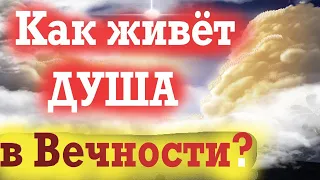 Всем нам это придётся пережить! Жизнь после смерти. Воскресение мёртвых. Великая тайна вечности!