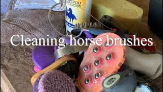 Cleaning every horse brush I own || Horse Crazy