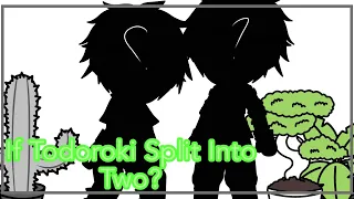 If Todoroki Split Into Two? ||🦈Todokiri🔥❄️ | Original