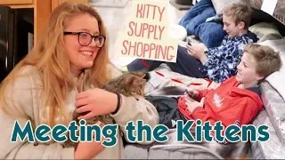 It's Friends Meeting Our Kittens + Kitten Supply Shopping!