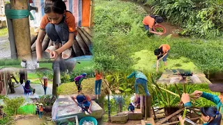 FULL VIDEO: Poor girl spent 30 days cooking, cleaning the house, raising chicks, and herding buffalo