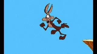 Wile .E Coyote, Gravity you rtard!