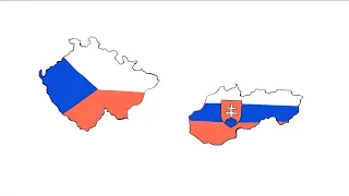 1993 🇨🇿🇸🇰 – NEZkreslená věda VIII (oprava)