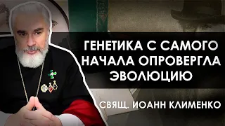 Человек произошёл от обезьяны? // Священник Иоанн Клименко