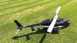 R/C Funkey Airwolf 600 disaster.